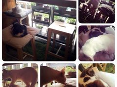 iphone_upload_pic-MIKAKU(万达广场上海宝山店)