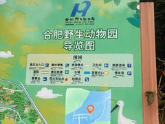 -合肥野生动物园
