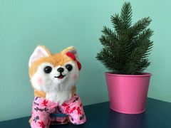 -LLJ夹机占(清河万象汇店)