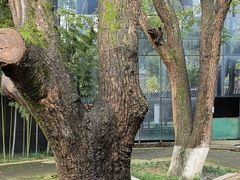 -龙潭水乡