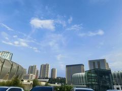 -奥体中心游泳馆