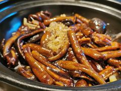 -苏浙汇(肇嘉浜路总店)