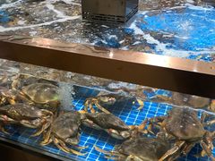 水产区-七鲜超市(通州ONE店)