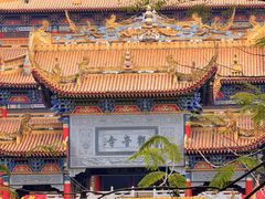 -东莞市大岭山森林公园