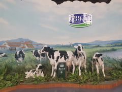 -君乐宝优致牧场