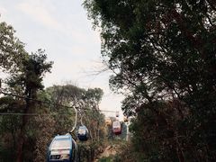 -东湖磨山景区