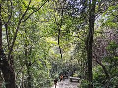 -溪口-滕头旅游景区