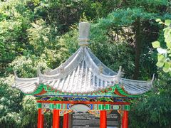-王顺山国家森林公园