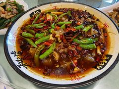 筋头巴脑-清雅轩·清真菜·春饼•烤鸭(滑翔店)
