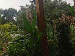 -丫口花园餐厅·融合菜
