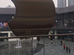 -Apple零售店(成都太古里店)
