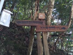 -梁野山景区