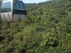 -普陀山风景区-佛顶山