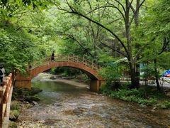 -关门山森林公园