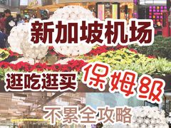 -樟宜机场免税店