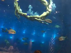 -瑞德姆美人鱼海底演艺主题餐厅(亚龙湾店)