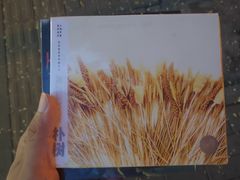 -独音唱片 Indie Music