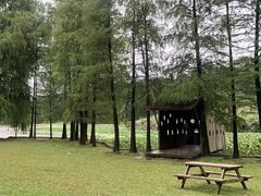 -南宁良凤江国家森林公园