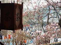 -潭柘寺景区
