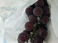 -马陆小张葡萄园农家乐