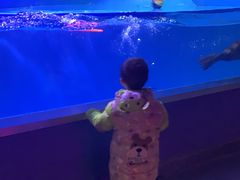 -石家庄海洋公园