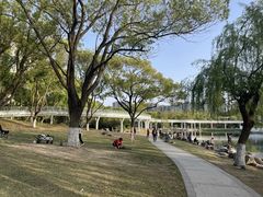 -昆山城市公园