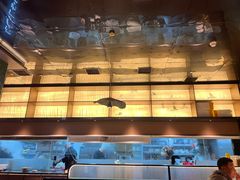 -渔舟意·湖南家宴(萝岗纳金城店)