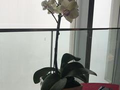 -洲际酒店·凌霄餐厅(紫峰大厦店)