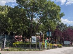 -大兴滨河森林公园