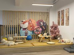 -柴迷FANS CLUB·柴犬狗咖·猫咖
