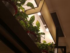-肯德基(观前新店)
