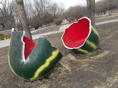 -长春公园(普阳街道)