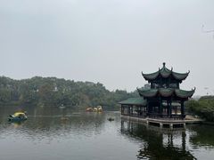 -桂湖森林公园