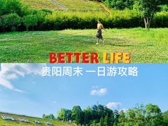 -阿哈湖国家湿地公园