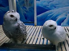 -成都浩海立方海洋公园