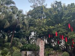 -广州市流溪河国家森林公园