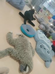 -宝燕乐园(春申店)