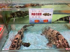 -渔民新村(番禺总店)