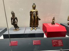 -西藏自治区图书馆