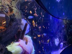 -沈阳海洋探索中心