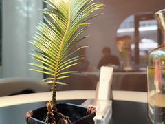 -梅花境(万科店)