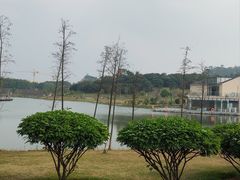 -东莞植物园