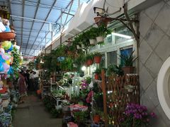 -万商花鸟市场