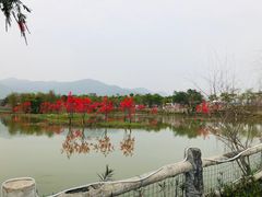-天适樱花悠乐园