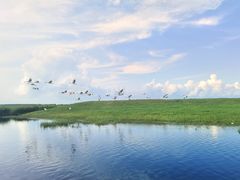 -黑龙江扎龙生态旅游区