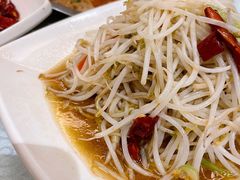 醋溜有机豆芽-福苗小骆驼烧烤(大唐不夜城店)