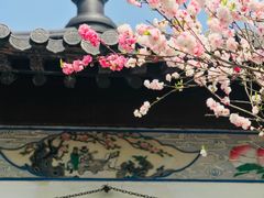 -南汇水蜜桃采摘(大团店)