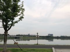 -金银湖国家城市湿地公园