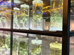 -广东中医药博物馆