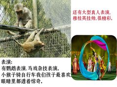 -五龙山野生动物王国